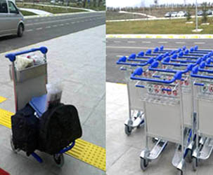 Terminal Geneli
